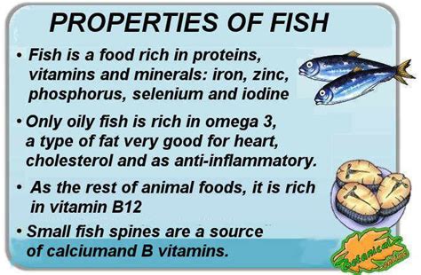 fish vitamins and minerals|Health Benefits of Fish .